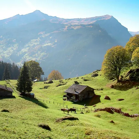 Abendrot Apartments-17 By Interhome Appartement Grindelwald