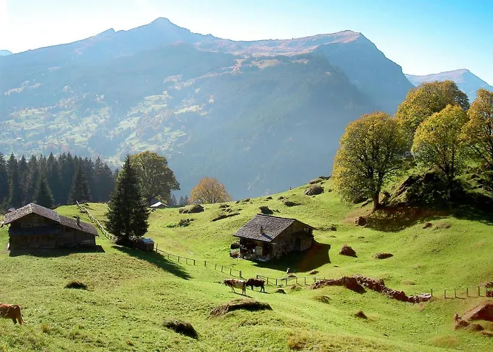 Abendrot Apartments-17 By Interhome Apartament Grindelwald