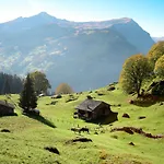 Abendrot Apartments-17 By Interhome Appartamento Grindelwald